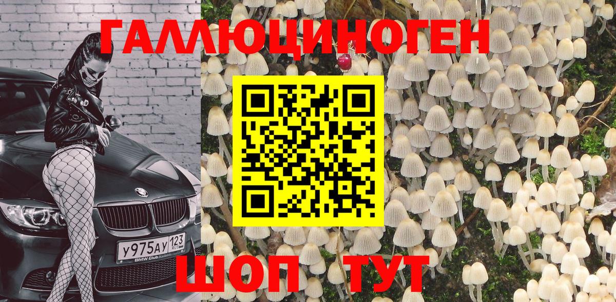 Галлюциногенные грибы Psilocybe Миасс